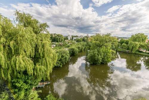 Foto - Wohnung zum Mieten in Chemnitz 290,98 € 48.01 m²