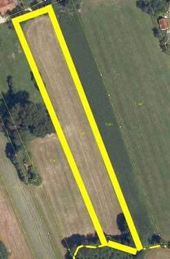 Foto - Grundstück in Polling (Grünbach) 96.120,00 € 8010 m²