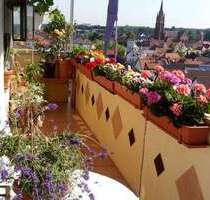 Wohnung zum Kaufen in Langen 175.000,00 € 64.69 m²