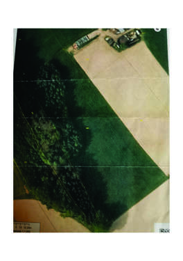 Foto - Grundstück in Mitterskirchen 131.100,00 € 13800 m²