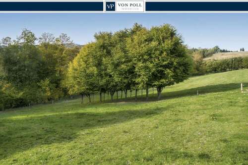Foto - Grundstück zu verkaufen in Olsberg Wiemeringhausen 63.000,00 € 1170 m²