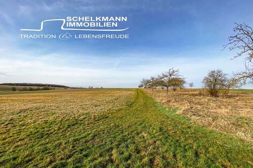 Foto - Grundstück zu verkaufen in Erfurt Molsdorf 211.400,00 € 755 m²