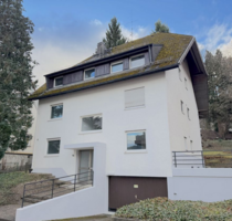 Haus zum Kaufen in Freiburg im Breisgau 1.550.000,00 € 330 m²