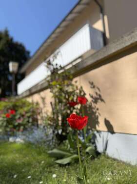 Foto - Haus zum Kaufen in Trostberg 756.000,00 € 290 m²