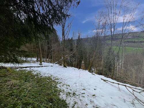 Foto - Grundstück in Wertach 21.500,00 € 8683 m²