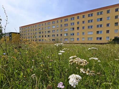 Foto - Wohnung zum Mieten in Sandersdorf 425,00 € 56.87 m²