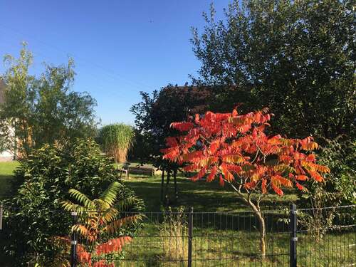 Foto - Grundstück zu verkaufen in Markranstädt 240.000,00 € 400 m²