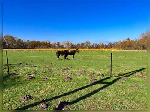 Foto - Haus zum Kaufen in Bocholt 939.000,00 € 426.32 m²