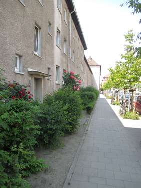 Foto - Wohnung zum Mieten in Braunschweig 337,00 € 42.09 m²