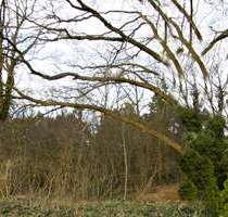 Grundstück zu verkaufen in Petersfehn II 109.000,00 € 2504 m²