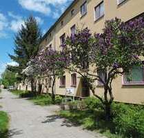 Wohnung zum Mieten in Cottbus 450,00 € 56.86 m²