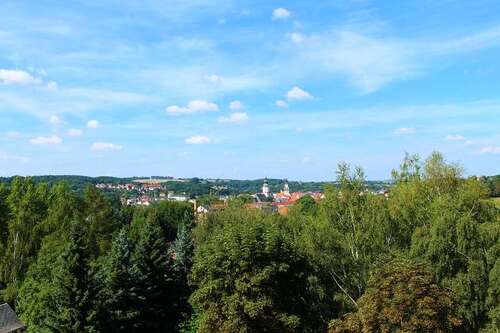 Foto - Wohnung zum Mieten in Döbeln 321,00 € 58.26 m²