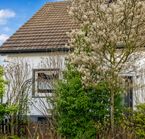 Haus zum Kaufen in Willich-Anrath 369.000,00 € 130 m²