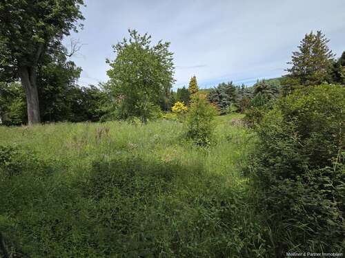 Foto - Grundstück zu verkaufen in Ebersbach-Neugersdorf 45.000,00 € 1800 m²