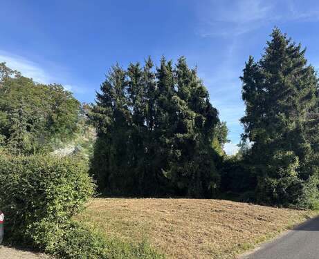 Foto - Grundstück zu verkaufen in Langerwehe 235.000,00 € 863 m²