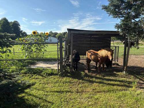 Foto - Haus zum Kaufen in Plattenburg 295.000,00 € 200 m²