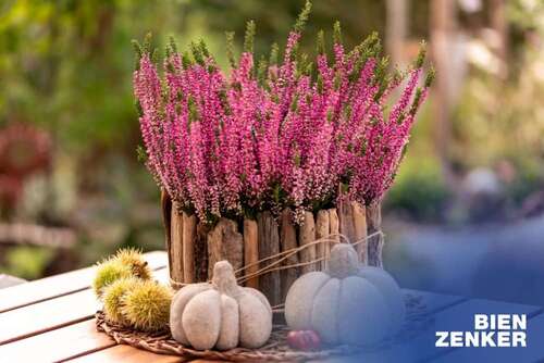 Foto - Haus zum Kaufen in Wilsdruff 602.904,00 € 131 m²