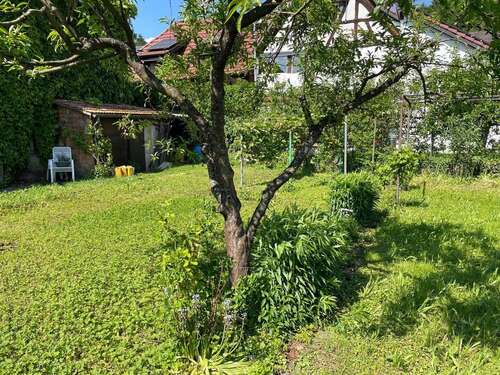 Foto - Grundstück zu verkaufen in Grenzach-Wyhlen 300.000,00 € 500 m²