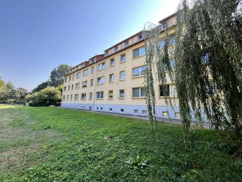 Foto - Wohnung zum Mieten in Delitzsch 410,00 € 59 m²