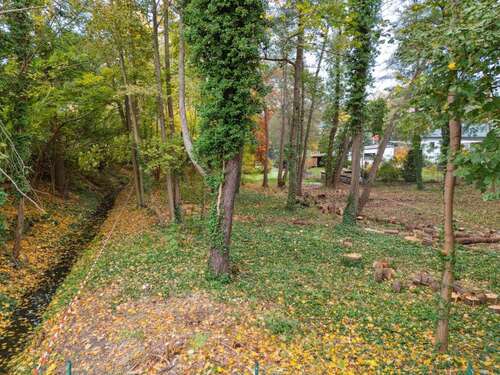 Foto - Grundstück zu verkaufen in Zeuthen 199.000,00 € 741 m²