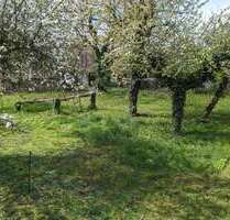 Grundstück zu verkaufen in Gailingen 680.000,00 € 1026 m²