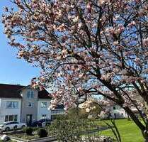 Haus zum Kaufen in Schemmerhofen 448.000,00 € 266 m²