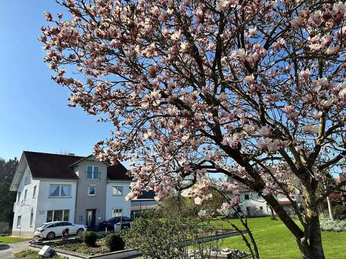 Foto - Haus zum Kaufen in Biberach an der Riß 448.000,00 € 266 m²