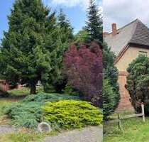 Haus zum Kaufen in Werle 99.000,00 € 314 m² Haus zum Kaufen in Werle 99.000,00 € 314 m²