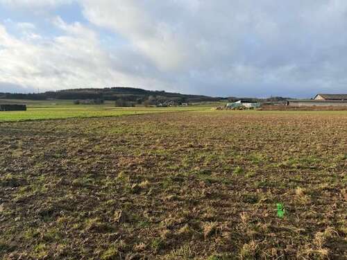 Foto - Grundstück zu verkaufen in Grafschaft-Esch 138.800,00 € 883 m²