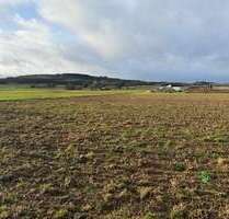 Grundstück zu verkaufen in Grafschaft-Esch 138.800,00 € 883 m²