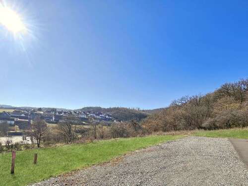 Foto - Grundstück zu verkaufen in Battenberg 74.000,00 € 1038 m²