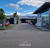 Halle in Bornheim 2.800.000,00 € 3864 m²