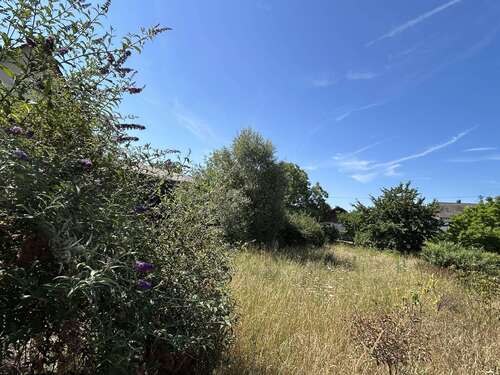 Foto - Haus zum Kaufen in Vogtsburg 845.000,00 € 246 m²