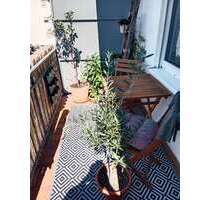 Wohnung zum Mieten in Riedstadt-Goddelau 750,00 € 82.5 m²