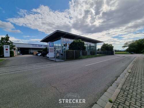 Foto - Halle in Bornheim 2.650.000,00 € 3864 m²