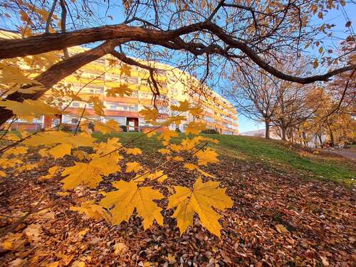 Foto - Wohnung zum Mieten in Reichenbach 275,00 € 56 m²