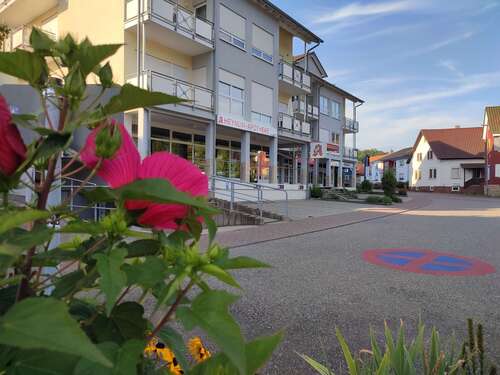 Foto - Einzelhandel in Königsbach-Stein 360.000,00 € 120 m²
