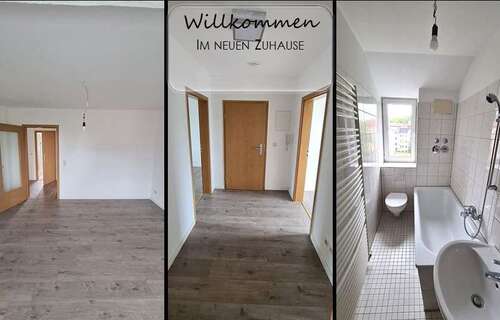 Foto - Wohnung zum Mieten in Chemnitz 285,00 € 54.37 m²