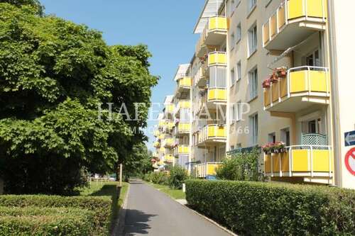 Foto - Wohnung zum Kaufen in Dresden 128.000,00 € 50.5 m²