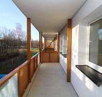 Wohnung zum Mieten in Freiberg 349,00 € 51.28 m²