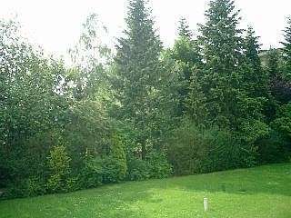 Foto - Wohnung zum Kaufen in Fürth 115.000,00 € 36 m²