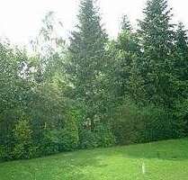 Wohnung zum Kaufen in Fürth 115.000,00 € 36 m²