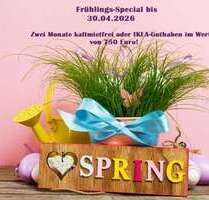 Wohnung zum Mieten in Rötha 400,00 € 61 m²