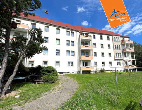 Foto - Wohnung zum Mieten in Aue-Bad Schlema 279,73 € 50.86 m²