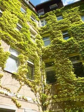 Foto - Wohnung zum Kaufen in Berlin 349.500,00 € 63 m²