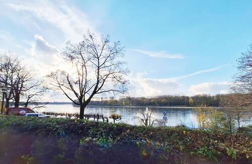 Foto - Wohnung zum Kaufen in Köln 278.200,00 € 61 m²