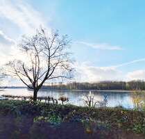 Wohnung zum Kaufen in Köln 278.200,00 € 61 m²