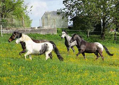 Foto - Spezialgewerbe in Messkirch 1.280.000,00 €