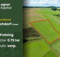 Grundstück zu verkaufen in Kirchdorf a. d. Amper 139.500,00 € 7530 m²