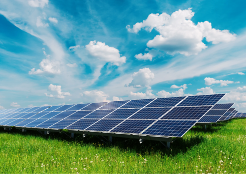 Foto - Grundstück in Badendorf 36.000,00 € 31000 m²